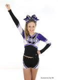 Glitter Zebra Purple Silver Cheer Bow